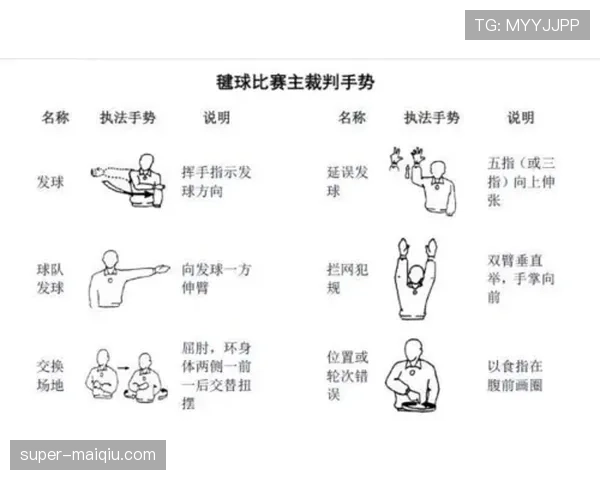 裁判手势规则详解及其在比赛判罚中的关键作用